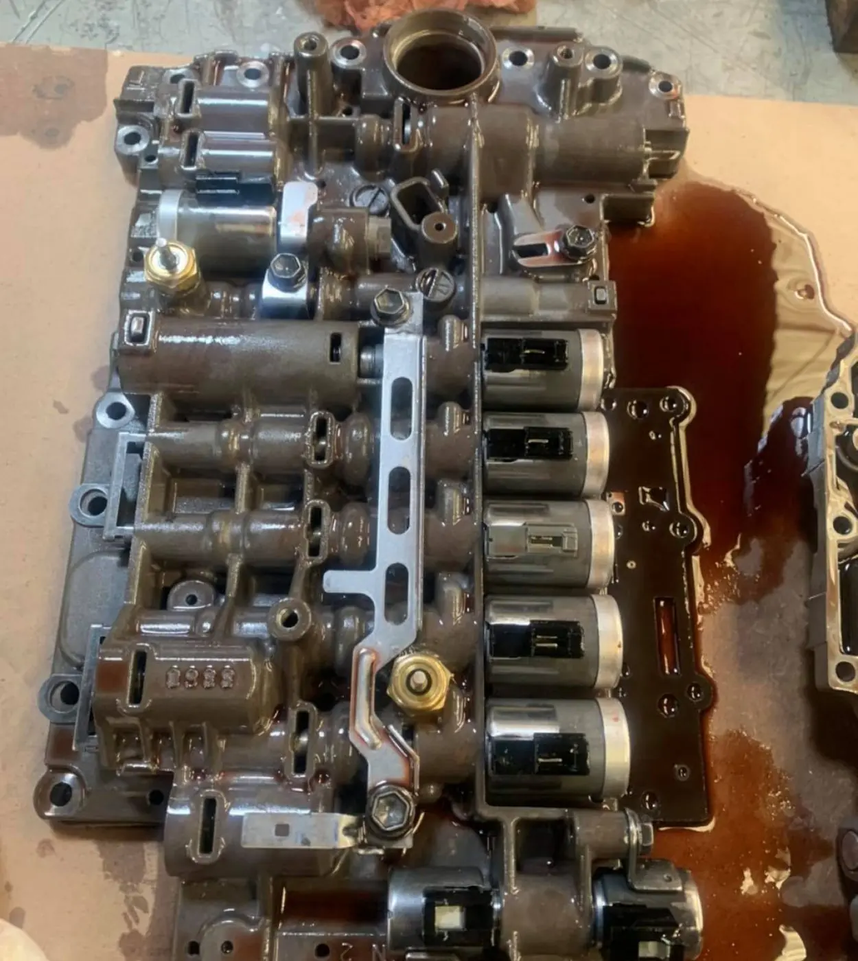 186227784_5492428920799290_3578888653054373477_n