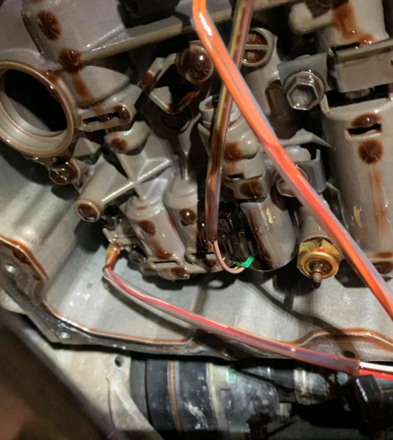 186415735_5492428890799293_2692542393376572999_n